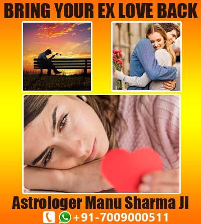 Bring Your Ex Love Back